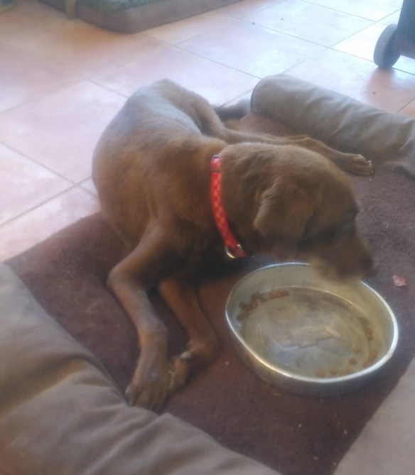 e49942e8-2eea-40db-9c64-84845fa86813